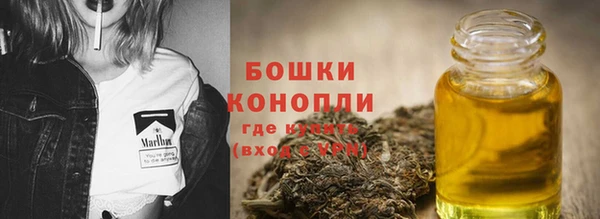 винт Бородино