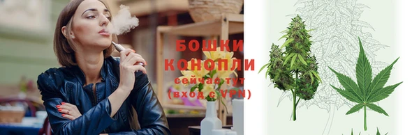 винт Бородино