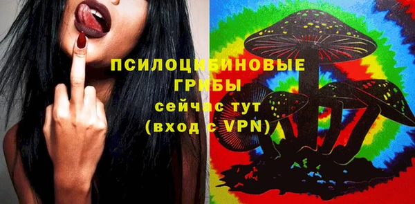 крисы Бугульма