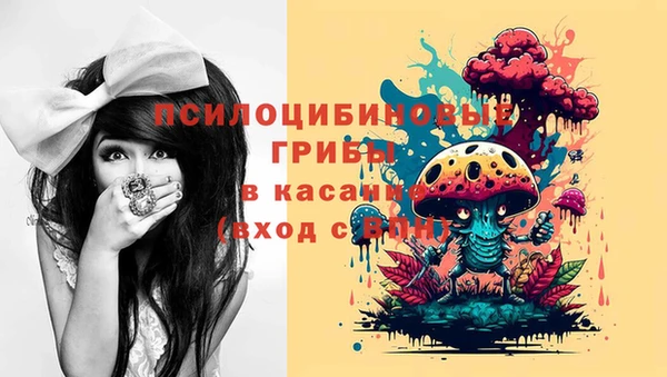 винт Бородино