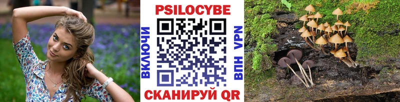 Псилоцибиновые грибы Cubensis  цены   Княгинино 